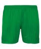 Maddins Shadow Stripe Shorts Kelly Green